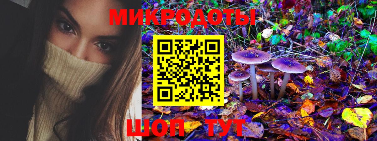 Галлюциногенные грибы MAGIC MUSHROOMS Берёзовский