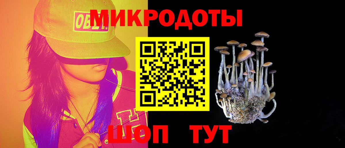 Псилоцибиновые грибы Psilocybine cubensis Берёзовский